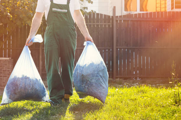 Best Shed Removal  in Arlington, TN